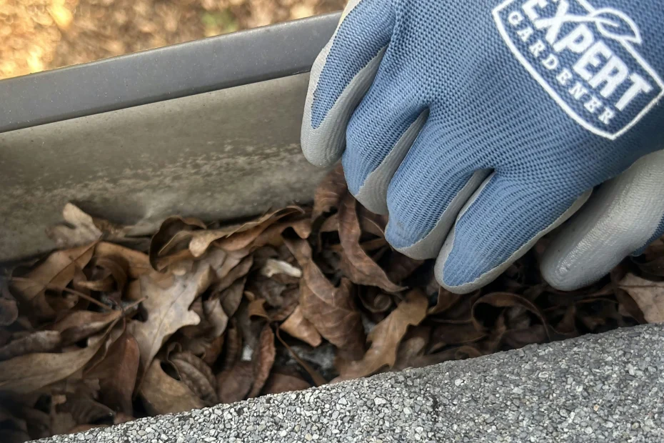 Gutter Cleaning Fairview, TN