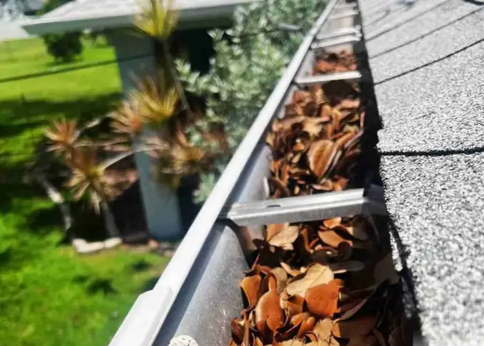 Gutter Cleaning Fairview, TN home page