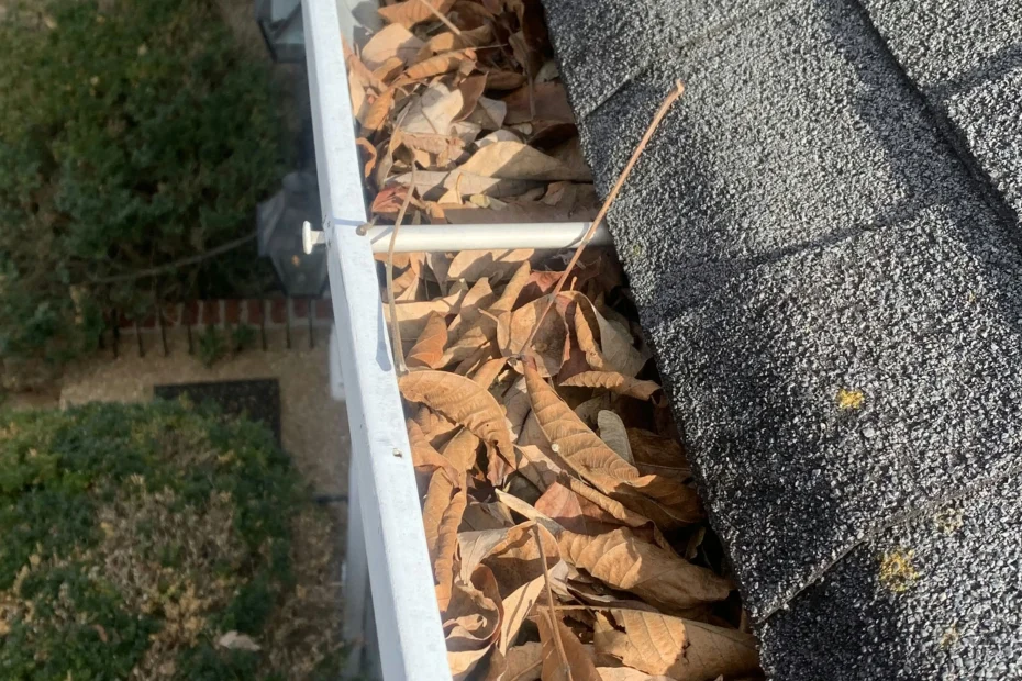 Fairview Gutter Cleaning